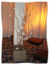 Evento - Lan&ccedil;amento Empresa